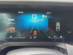 Tank 300 Off-Road Edition 2.0T Challenger - ფოტო 7