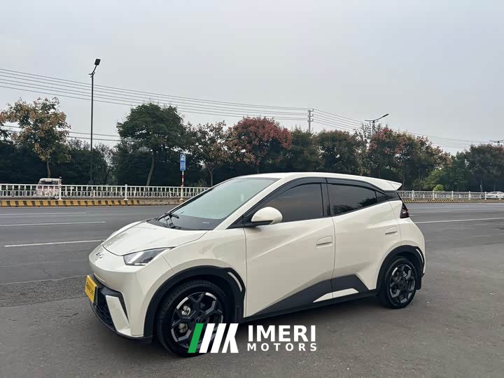 BYD Seagull 2025 405km Flying Edition - ავტომობილი ჩინეთიდან