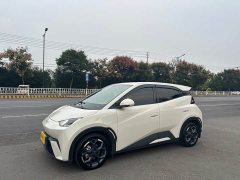 BYD Seagull 2025 405km Flying Edition - ფოტო 1