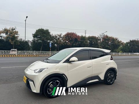 2024 BYD Seagull 2025 405km Flying Edition - ავტომობილი ჩინეთიდან