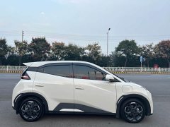 BYD Seagull 2025 405km Flying Edition - ფოტო 6