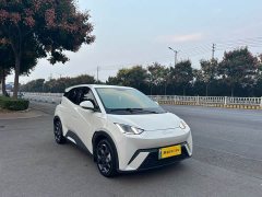 BYD Seagull 2025 405km Flying Edition - ფოტო 7