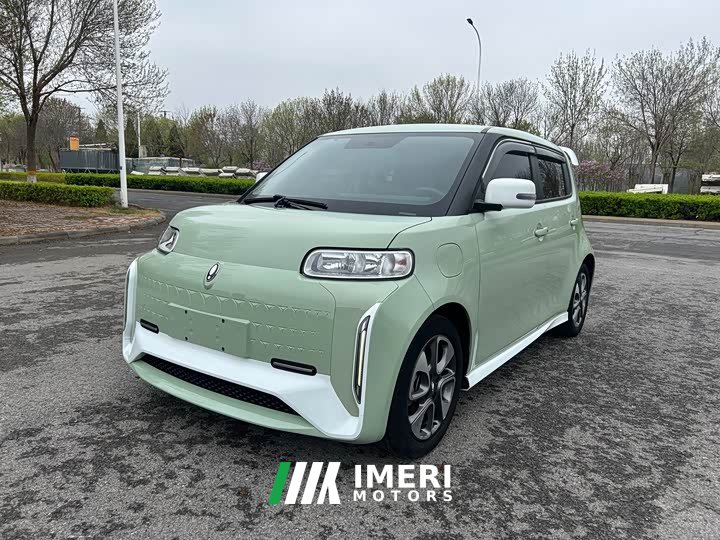 Ora White Cat Edition 360km Deluxe Version - ავტომობილი ჩინეთიდან