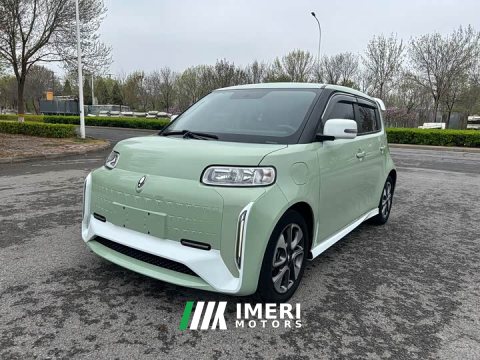 2022 Ora White Cat Edition 360km Deluxe Version - ავტომობილი ჩინეთიდან