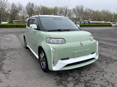 Ora White Cat Edition 360km Deluxe Version - ფოტო 7