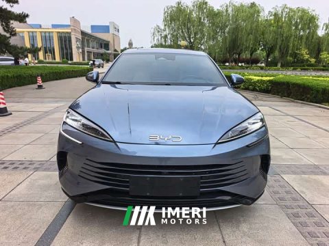 2023 BYD Dolphin DM-i 1.5T 121km Premier - ავტომობილი ჩინეთიდან