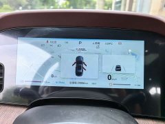 BYD Dolphin DM-i 1.5T 121km Premier - ფოტო 14
