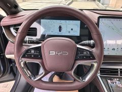 BYD Dolphin DM-i 1.5T 121km Premier - ფოტო 15