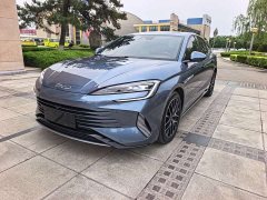 BYD Dolphin DM-i 1.5T 121km Premier - ფოტო 3