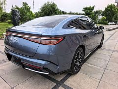 BYD Dolphin DM-i 1.5T 121km Premier - ფოტო 6