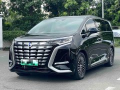Denza BYD Denza D9 2024 DM-i 980 Four-Wheel Drive Premium - ფოტო 1