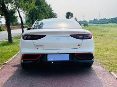 Neta GT 2023 580 AWD Sport - ფოტო 6