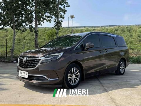 2021 Buick GL8 ES Land Respect 653T Respect Enjoyment Edition - ავტომობილი ჩინეთიდან