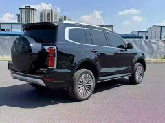 Tank 500 New Energy Hi4-T Black Warrior Edition - ფოტო 9