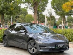 Tesla Model 3 Standard Range RWD Upgrade - ფოტო 3