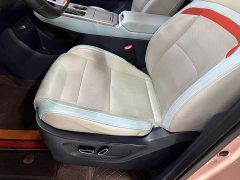 GAC AION Y 2023 Plus 510 Smart Leader Edition - ფოტო 19