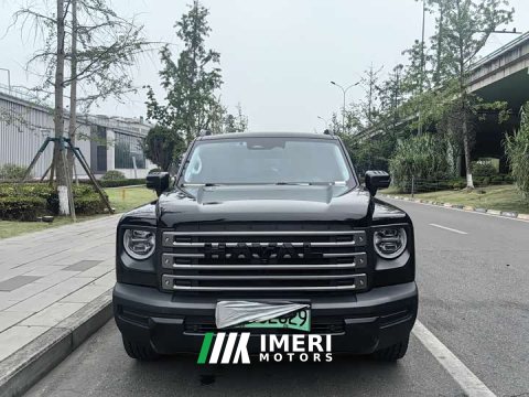 2024 Haval Manlong New Energy 2023 Hi4 145 Explorer Edition - ავტომობილი ჩინეთიდან
