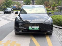 Tesla Model Y 2022 Rear-Wheel Drive - ფოტო 1