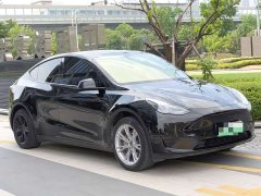 Tesla Model Y 2022 Rear-Wheel Drive - ფოტო 2