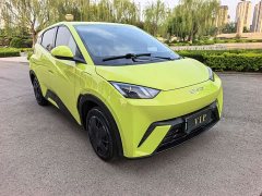 BYD Seagull Glory Edition 305km Vitality Version - ფოტო 2