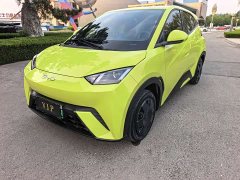 BYD Seagull Glory Edition 305km Vitality Version - ფოტო 3