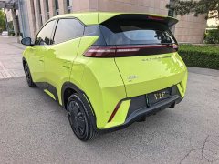 BYD Seagull Glory Edition 305km Vitality Version - ფოტო 4