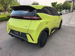 BYD Seagull Glory Edition 305km Vitality Version - ფოტო 6