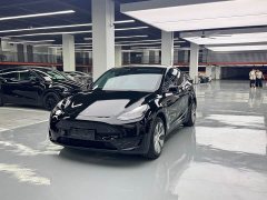 Tesla Model Y Long Range All-Wheel Drive - ფოტო 1