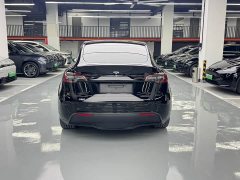 Tesla Model Y Long Range All-Wheel Drive - ფოტო 15