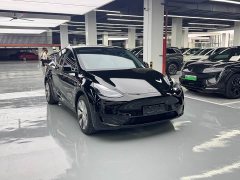 Tesla Model Y Long Range All-Wheel Drive - ფოტო 3