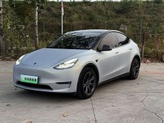 Tesla Model Y 2023 Long Range All-Wheel Drive - ფოტო 1