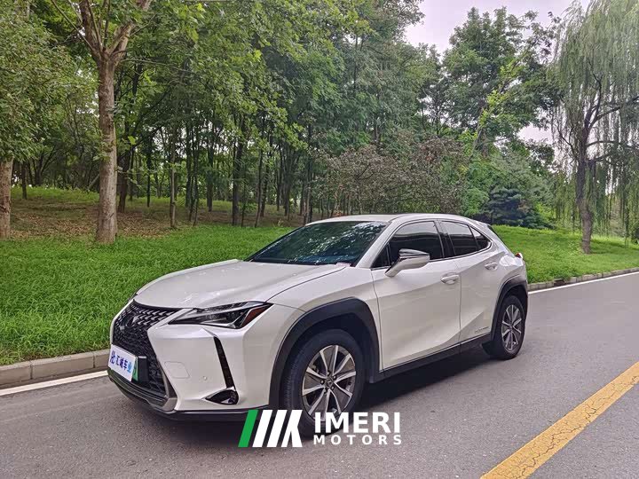 Lexus UX New Energy 2020 300e Pure Joy Edition - ავტომობილი ჩინეთიდან