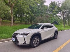 Lexus UX New Energy 2020 300e Pure Joy Edition - ფოტო 1