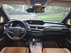 Lexus UX New Energy 2020 300e Pure Joy Edition - ფოტო 12