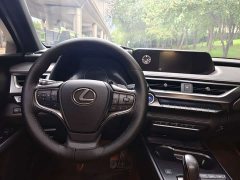 Lexus UX New Energy 2020 300e Pure Joy Edition - ფოტო 15