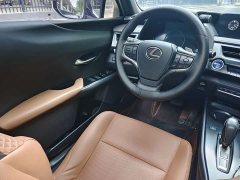 Lexus UX New Energy 2020 300e Pure Joy Edition - ფოტო 16