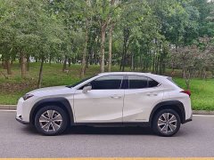 Lexus UX New Energy 2020 300e Pure Joy Edition - ფოტო 3