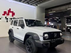 Tank 300 2.0T Gasoline Conqueror - ფოტო 3