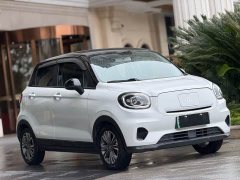 Leapmotor T03 400 Lite Enjoy Edition Ternary Lithium - ფოტო 3