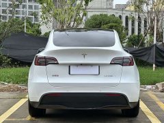 Tesla Model Y Rear-Wheel Drive - ფოტო 15