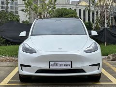 Tesla Model Y Rear-Wheel Drive - ფოტო 2