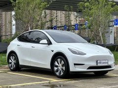 Tesla Model Y Rear-Wheel Drive - ფოტო 3