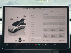 Tesla Model Y Rear-Wheel Drive - ფოტო 6