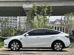 Tesla Model Y Rear-Wheel Drive - ფოტო 8
