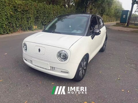 2021 ORA Black Cat 351km Standard - ავტომობილი ჩინეთიდან
