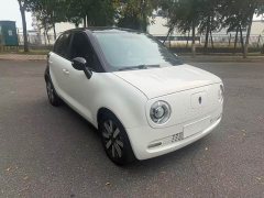 ORA Black Cat 351km Standard - ფოტო 3