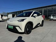 BYD Seagull Glory Edition 405km Flying Edition - ფოტო 1
