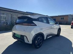BYD Seagull Glory Edition 405km Flying Edition - ფოტო 11