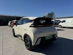 BYD Seagull Glory Edition 405km Flying Edition - ფოტო 12