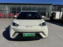 BYD Seagull Glory Edition 405km Flying Edition - ფოტო 2